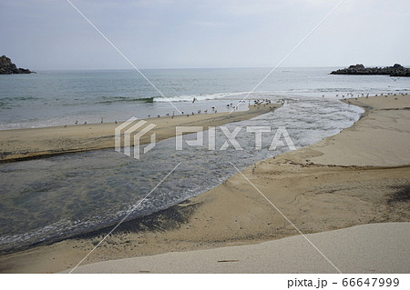 三陸海岸普代浜河口 三陸海岸普代浜河口 66647999