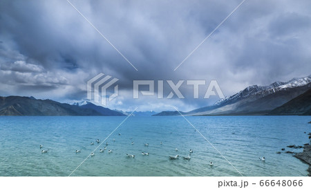 インド・ラダック地方 パンゴンツォ / Pangong Tso, Ladakh, India 66648066