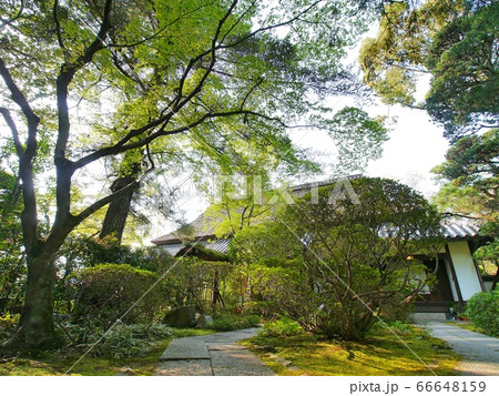 五流尊瀧院御庵室 五流尊瀧院御庵室 66648159