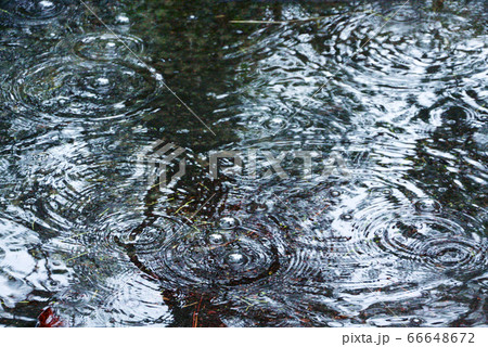 雨みずたまり3の写真素材