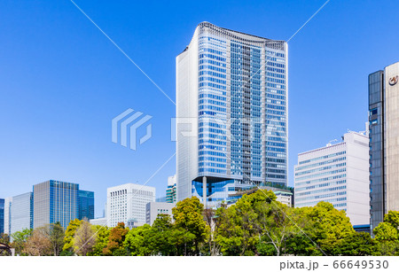 新緑の木立と日比谷のビル　都市風景 66649530