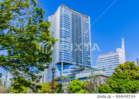 新緑の木立と日比谷のビル　都市風景 66649534