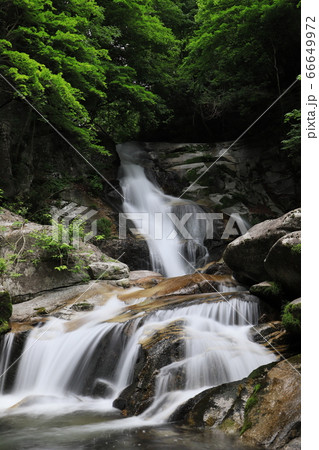 塔ノ沢不動滝 66649972