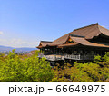 清水寺 春 66649975
