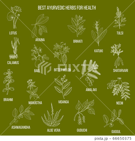 Ayurvedic herbs, natural botanical set 66650375