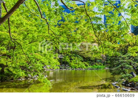 春の日比谷公園　東京 66650609