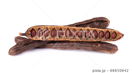 Ripe carob pods and bean isolated on white background. Ripe carob pods and bean isolated on white background. 66650642