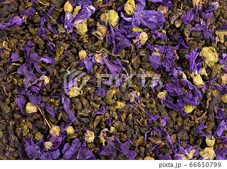 Tie Guan Yin tea with mallow flowers. Organic tea background. Top view. Close up. 66650799