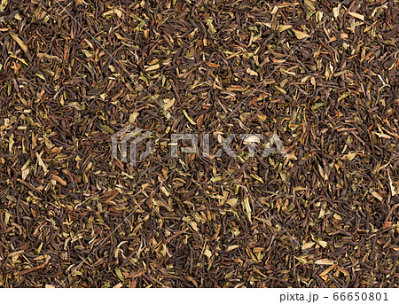 Black tea Darjeeling. Organic tea background. Top view. Close up. 66650801