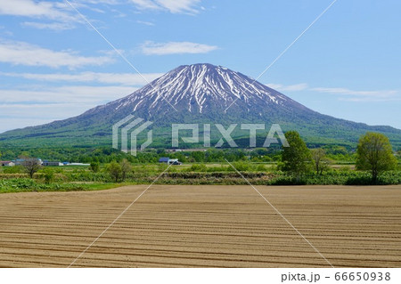 八幡駐車場から見る羊蹄山（2020年5月） 66650938