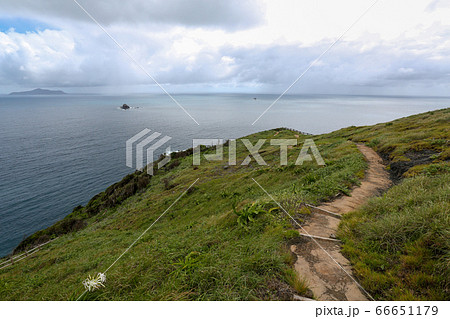 愛媛県　夏　愛南町　高茂岬 66651179
