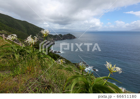 愛媛県 夏 愛南町 高茂岬 愛媛県 夏 愛南町 高茂岬 66651180