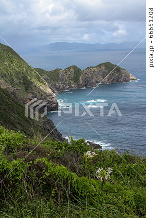 愛媛県　夏　愛南町　高茂岬 66651208