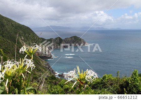 愛媛県　夏　愛南町　高茂岬 66651212