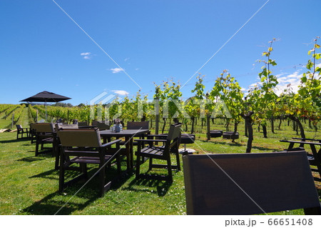 ワイナリー 66651408