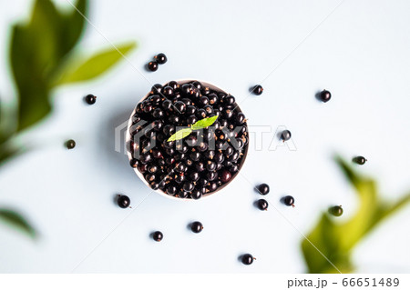 Flat lay composition with black currants in a bowl 66651489