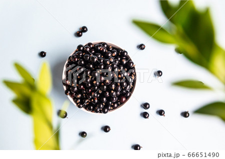 Sweet organic black currant berries in a white Sweet organic black currant berries in a white 66651490