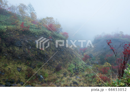 日本百名山の焼岳の焼岳登山道の湯新道分岐の紅葉 日本百名山の焼岳の焼岳登山道の湯新道分岐の紅葉 66653052