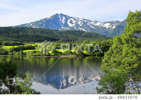 冬師湿原 66655070