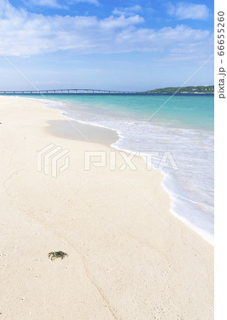 沖縄　カニが遊ぶ美しい白砂の浜　宮古島与那覇前浜ビーチ 66655260