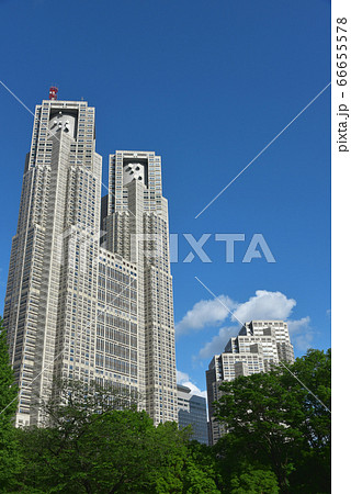都市風景　緑豊かな新宿中央公園から望む東京都庁 66655578