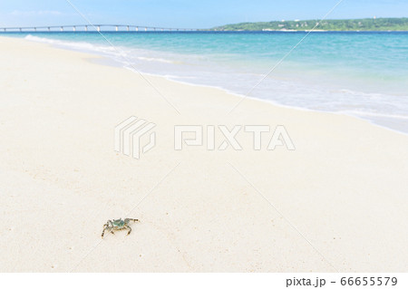 沖縄 カニが遊ぶ美しい白砂の浜 宮古島与那覇前浜ビーチ 沖縄 カニが遊ぶ美しい白砂の浜 宮古島与那覇前浜ビーチ 66655579
