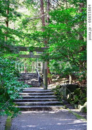 弥彦神社 参道(新潟県) 弥彦神社 参道(新潟県) 66655864