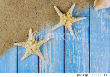 Summer holiday on blue wooden boards with starfish Summer holiday on blue wooden boards with starfish 66656011