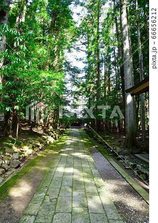 弥彦神社 参道(新潟県) 弥彦神社 参道(新潟県) 66656212