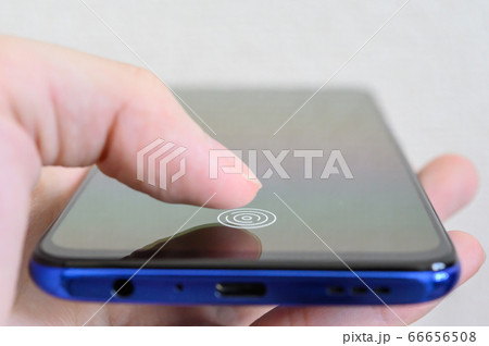 画面内指紋認証 66656508