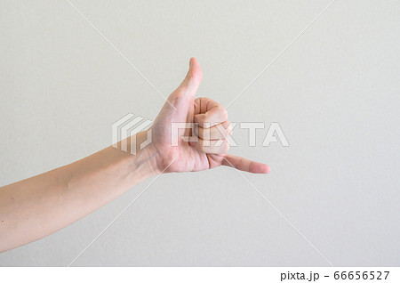 手のジェスチャー 66656527