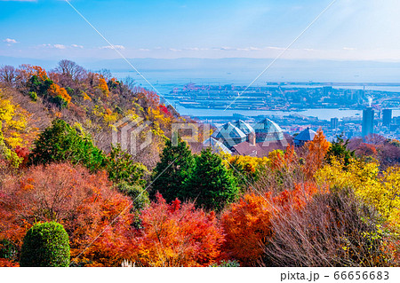 布引ハーブ園の紅葉と神戸の街並の写真素材