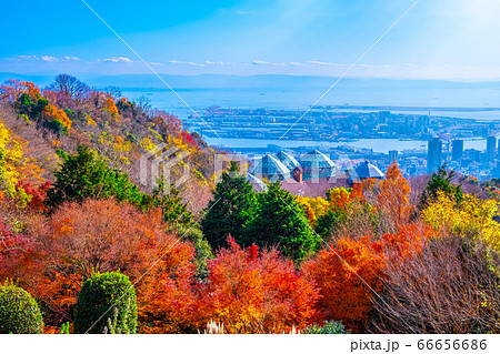 布引ハーブ園の紅葉と神戸の街並の写真素材