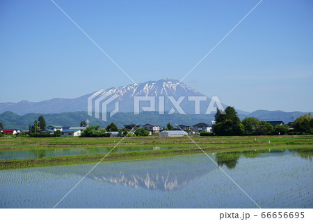 水田は岩手山を映す水鏡 66656695