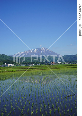 水田は岩手山を映す水鏡 水田は岩手山を映す水鏡 66656697