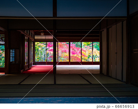 京都南禅寺 天授庵の紅葉 京都南禅寺 天授庵の紅葉 66656913