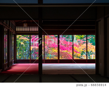 京都南禅寺 天授庵の紅葉 京都南禅寺 天授庵の紅葉 66656914