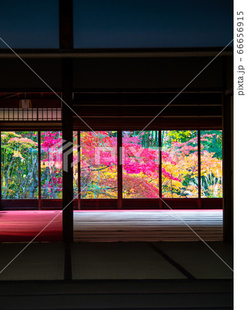 京都南禅寺 天授庵の紅葉 京都南禅寺 天授庵の紅葉 66656915