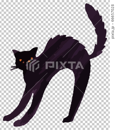黒猫 猫 猫背 ハロウィン イラストのイラスト素材