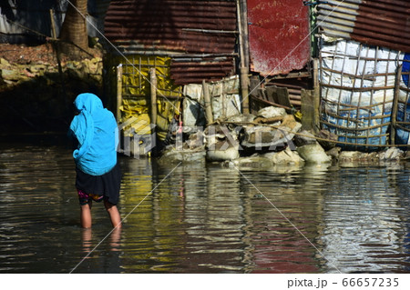 バングラデシュのコックスバザール　浸水した道路を歩くイスラム教徒の女性　イスラムのヒジャブを着る姿 66657235