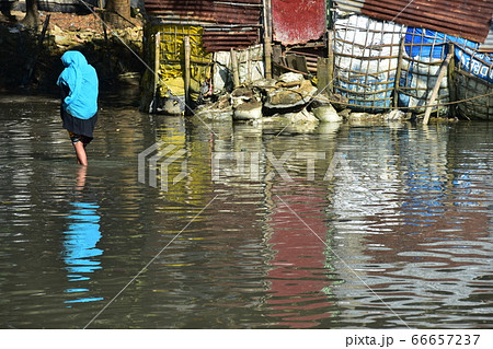 バングラデシュのコックスバザール　浸水した道路を歩くイスラム教徒の女性　イスラムのヒジャブを着る姿 66657237
