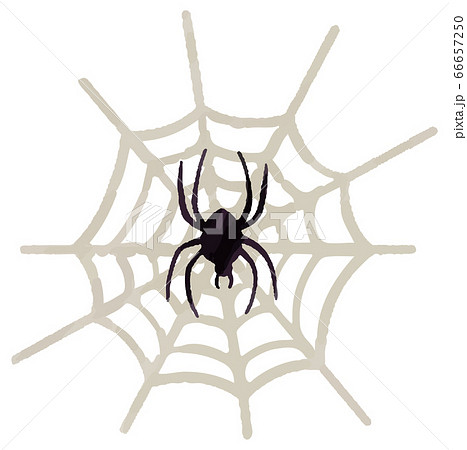 ハロウィン 蜘蛛 ジャックオーランタン かぼちゃ 文字 イラストのイラスト素材 ハロウィン 蜘蛛 ジャックオーランタン かぼちゃ 文字 イラストのイラスト素材