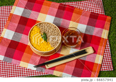 ２色弁当　 lunch box with chicken flakes 66657941