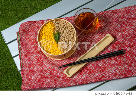 ２色弁当　 lunch box with chicken flakes 66657942