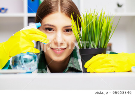 An employee of a cleaning company wipes the dust on the plants 66658346