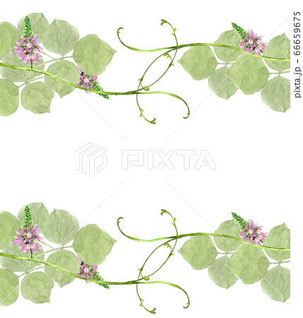 葛の花フレームのイラスト素材