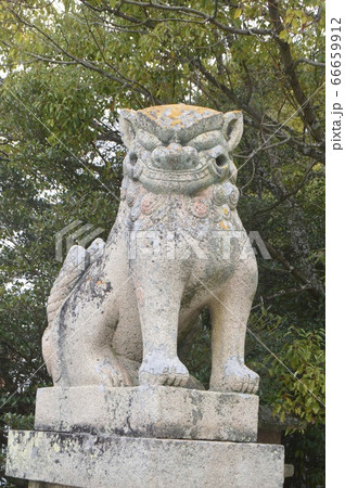 狛犬像(吽形像)（大山祇神社／愛媛県今治市大三島町宮浦） 66659912
