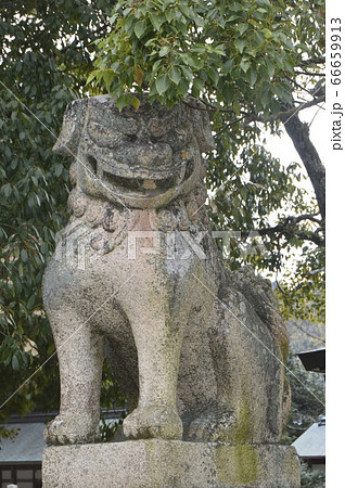狛犬像(阿形像)（大山祇神社／愛媛県今治市大三島町宮浦） 66659913