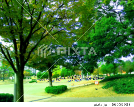 公園のチルトシフト写真 66659983