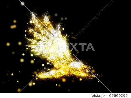 光る鳥 Pascoalotoventuri Com Br